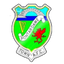 Pontardawe Town