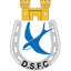 Dungannon Swifts