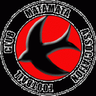 Matamata Swifts logo