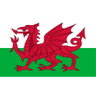 Wales U19 W logo