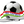 Parvoz