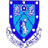 Rugby Town logo