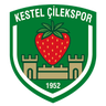 Kestel Çilek logo