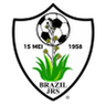 Brazil Juniors logo