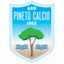 Pineto