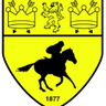 Newmarket Town logo