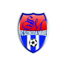 Slobozia Mare logo