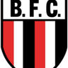 Botafogo SP logo