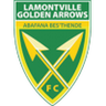 Golden Arrows logo