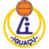 AA Iguaçu logo
