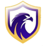 Falcon U20 logo