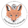 Stade Renard logo