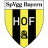 Bayern Hof logo