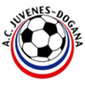 Juvenes / Dogana logo