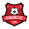 AFC Hermannstadt logo