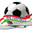 Parvoz