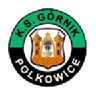 Górnik Polkowice logo
