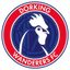 Dorking Wanderers W
