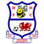 Holyhead Hotspur