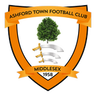 Ashford Town (Middx) logo