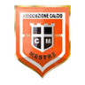 Mestre logo