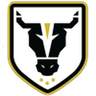 Bulls Academy logo