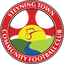 Steyning Town Community