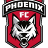 Phoenix logo