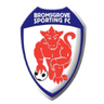 Bromsgrove Sporting logo