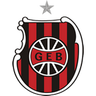 Brasil DE Pelotas logo