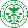 HamKam W logo