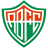 Rio Branco-VN logo