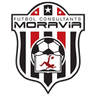 Futbol Consultants Moravia logo