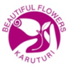 Karuturi Sports logo