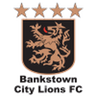 Bankstown City Lions logo