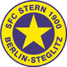 Stern logo