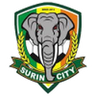 Surin logo