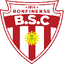 Botafogo BA