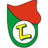 Lushnja logo