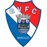 Gil Vicente U19 logo