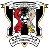 Cefn Druids AFC logo