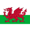 Wales U17 logo