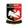 Aylesbury Vale Dynamos