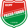 Passo Fundo logo