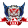 Yichun Grand Tiger logo