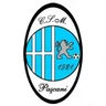 Paşcani logo