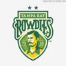 Tampa Bay Rowdies II logo