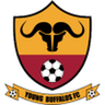 Young Buffaloes logo