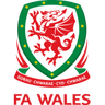 Wales U21 logo