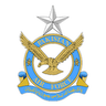 Pakistan Air Force logo